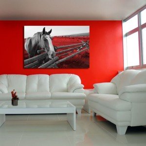 obraz koń w czerwieni