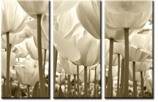 obraz tryptyk tulipany