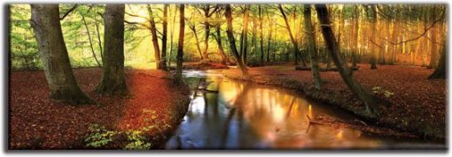 obraz jesień w lesie
