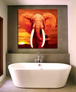 obrazy z słoniem