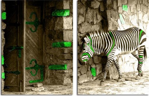 zebra na obrazie