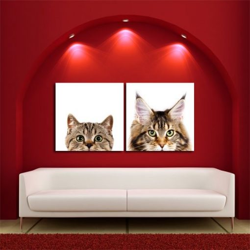 obraz na ścianę koty