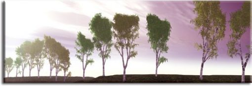 panorama z drzewami