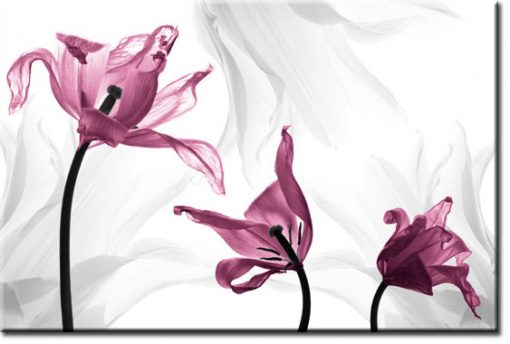 obrazy z tulipanami