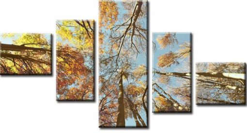 obrazy z drzewami