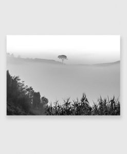Obraz z drzewem w kolorach czarno-białych