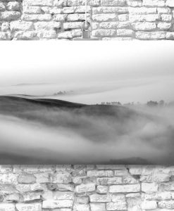 Szary obraz z motywem pól we mgle